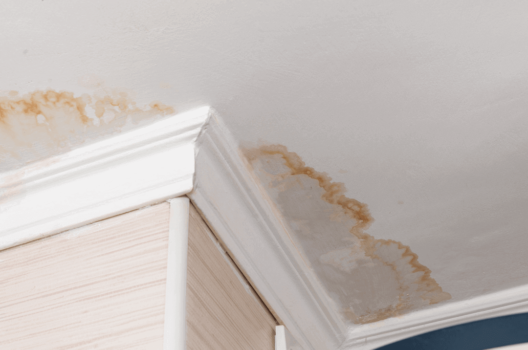 Water damaged ceiling, close up of a stain in a ceiling
