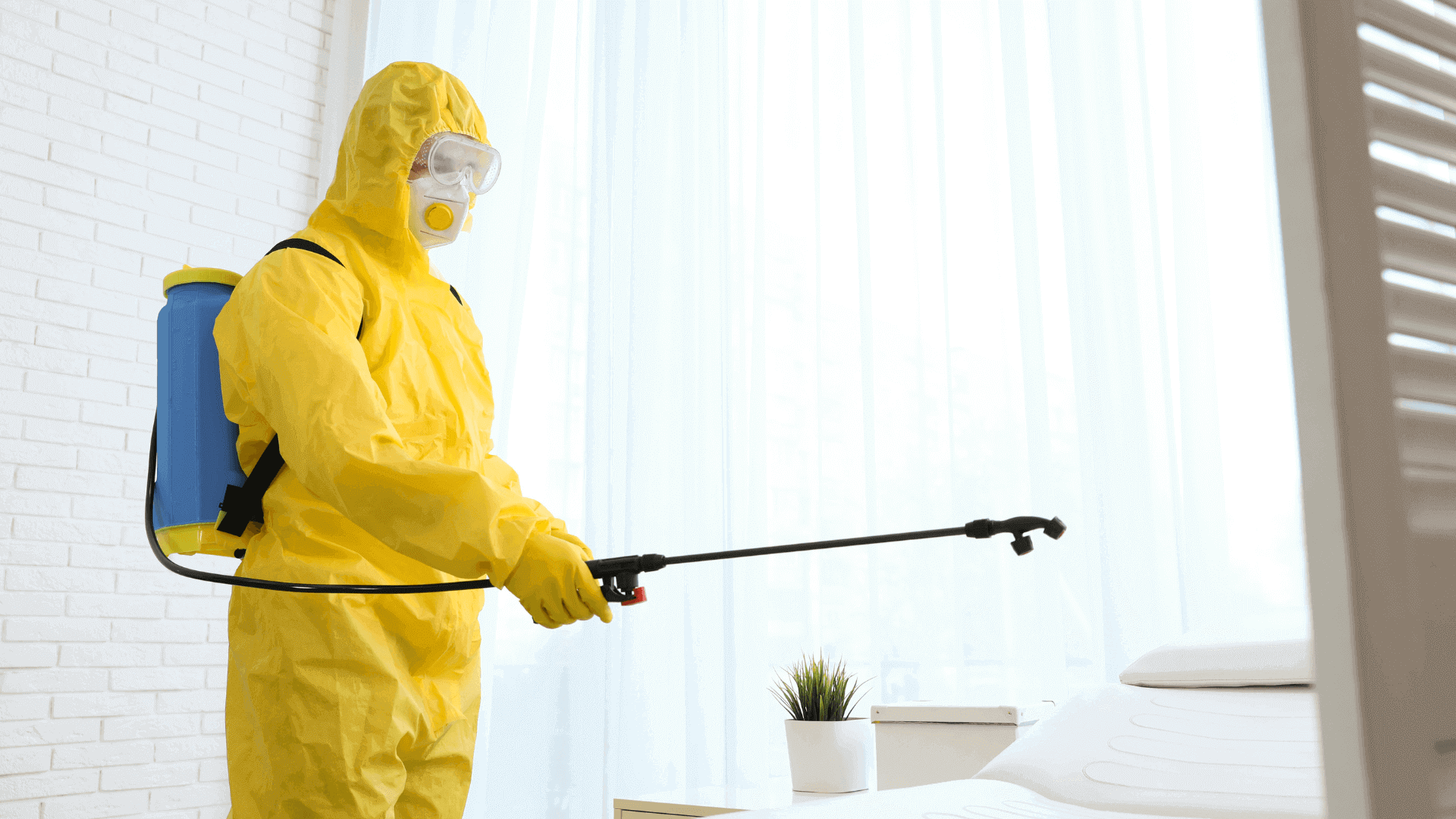 cleaning industry trends changed significantly 