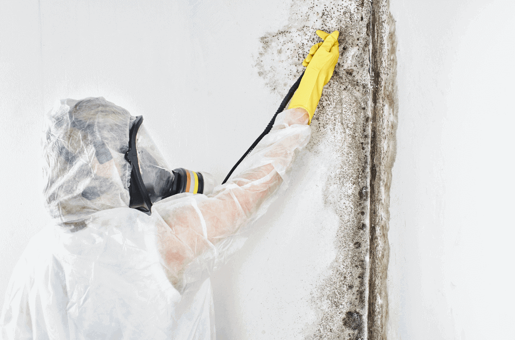 A professional disinfector in overalls processes the walls from mold. Removal of black fungus in the apartment and house. 