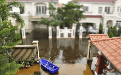 Worried Your Home Might Be Damaged by the Typhoon? This Guide Will Help You Navigate the Storm.