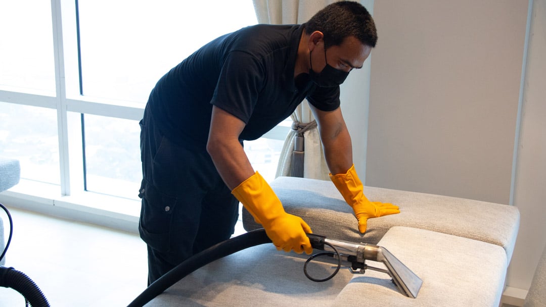 upholstery cleaning, sofa cleaning, couch cleaning, deep cleaning, deep clean. get the full experience of thorough cleaning of our professional cleaners