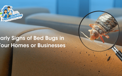 Spotting Trouble: Recognize the Early Signs of Bed Bugs Before It’s Too Late