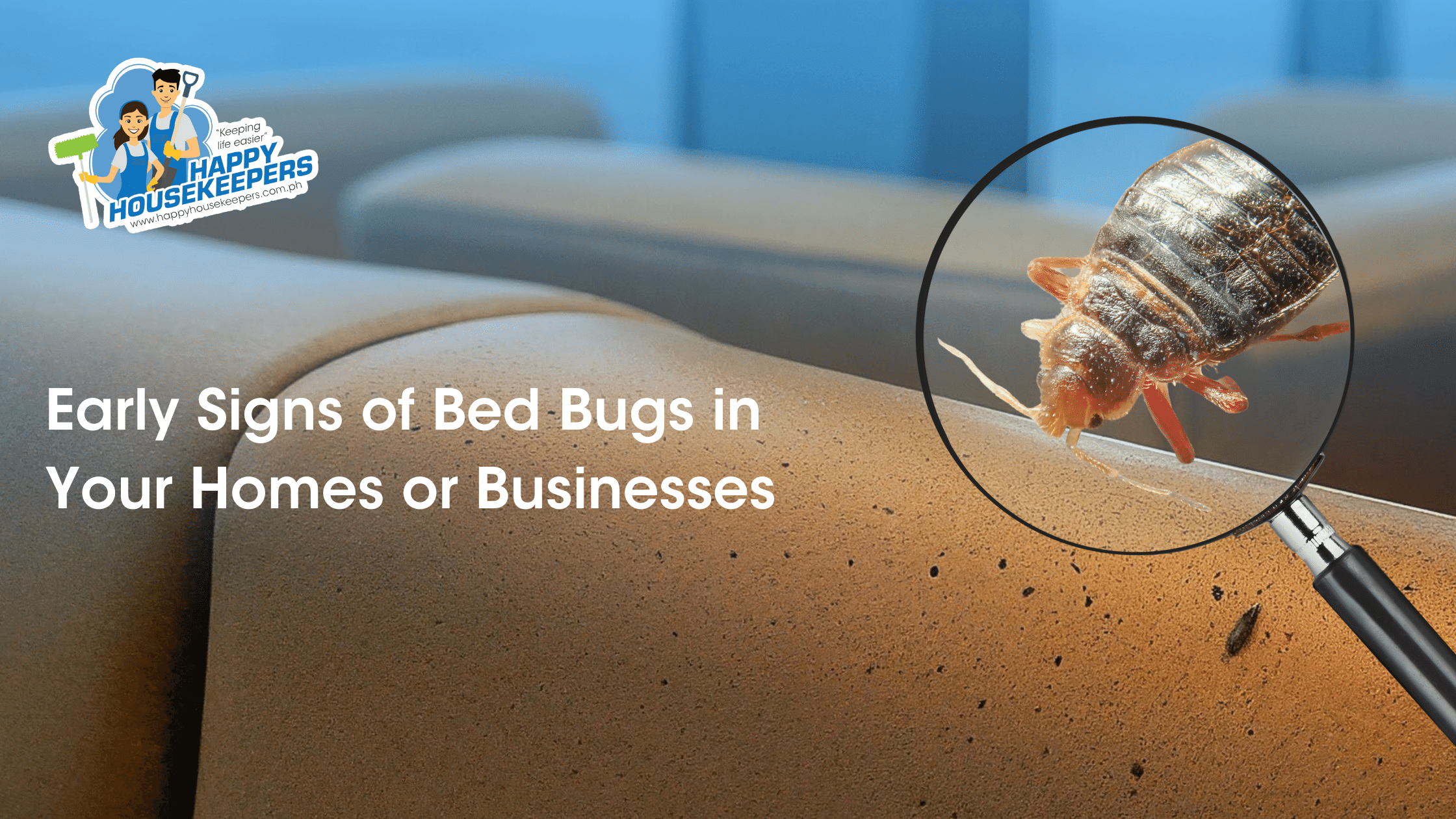 early signs of bed bugs
