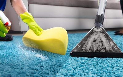 Pros and Cons of DIY vs Professional Carpet Cleaning
