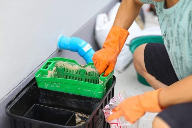 DIY Maintenance vs. Professional Services