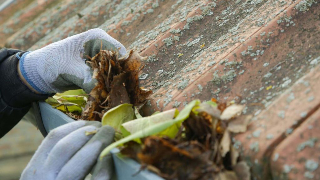 Preparing for La Niña: Ready Your Home for the Wet Weather