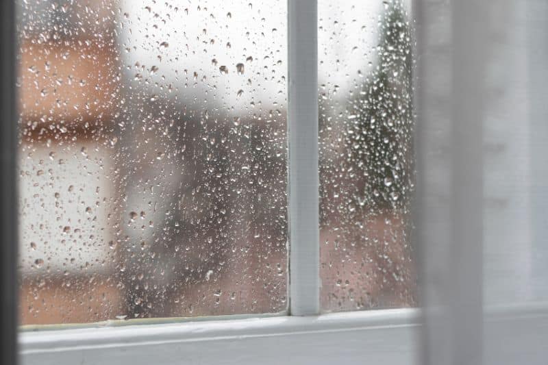 Weather Pattern Effects