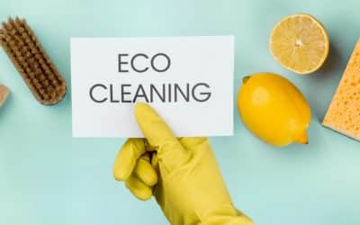 Sustainable Cleaning: Eco-Friendly Solutions with Cleanwrap